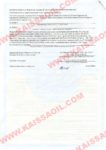 Conclusion of the State SEE page2